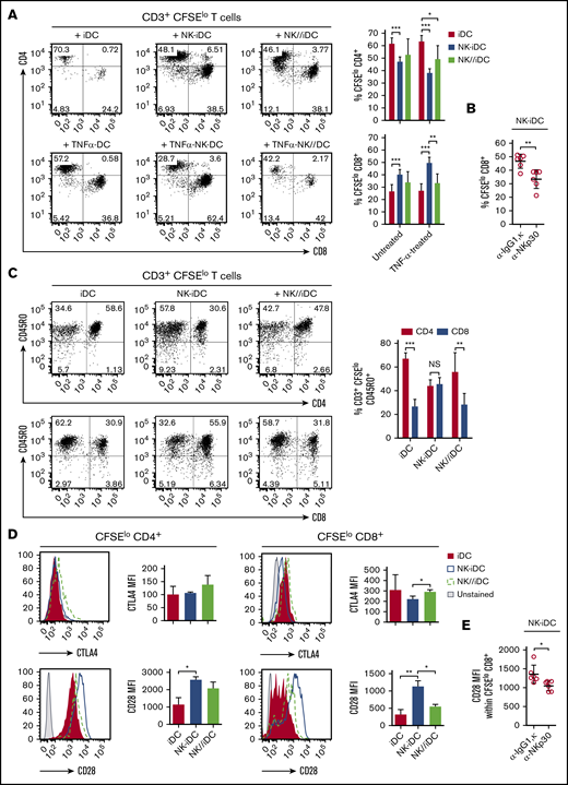 DCs derived from NK-cell–primed monocytes through cell-to-cell contact via NKp30 promote CD8+T-cell activation and proliferation. Untreated and TNF-α–treated iDCs derived from NK-cell primed monocytes (NK-iDCs) were cocultured with purified, CFSE-stained naive allogeneic T cells for 5 days. DCs derived from monocytes alone (iDCs) or primed by NK cells through a Transwell membrane (NK//iDCs) were used as controls. By the fifth day of coculture, the phenotypical and functional profiles of T cells were assessed by flow cytometry. (A) Frequency of proliferating (CFSElow) CD4+ T cells and CD8+ T cells stimulated by DCs at different conditions. (B) Frequency of proliferating (CFSElow) CD8+ T cells stimulated by DCs derived from monocytes primed by NK cells in the presence of anti-NKp30 (α-NKp30) or IgG1,κ isotype control (IgG1,κ). (C) Frequency of proliferating (CD3+CFSElow) CD45RO+CD4+ T cells and CD8+ T cells stimulated by DCs at different conditions. (D) Expression (MFI) of CTLA-4 and CD28 by proliferating (CFSElow) CD4+ T cells and CD8+ T cells stimulated by DCs at different conditions. (E) Expression (MFI) of CD28 by proliferating (CFSElo) CD8+ T cells stimulated by DCs derived from monocytes primed by NK cells in the presence of anti-NKp30 (α-NKp30) or IgG1,κ isotype control (IgG1,κ). Error bars represent standard deviation. Data are representative of at least 2 or more independent experiments combined; n = 2-3 HDs per experiment. Statistical comparisons were performed with the unpaired Student t test with Welch correction. *P < .05, **P < .01, ***P < .001.