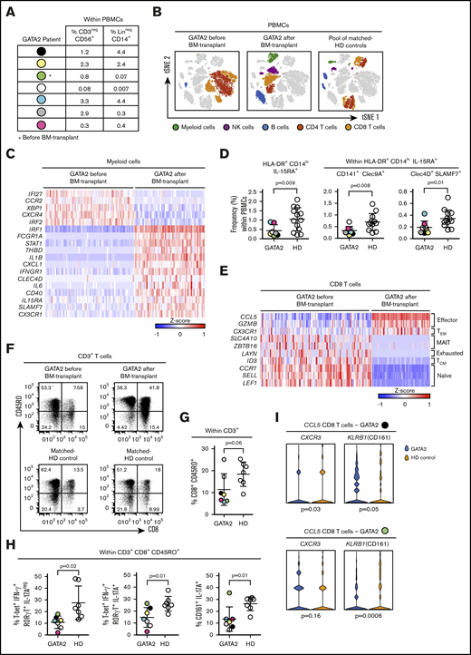 Patients with classical NK-cell deficiency (GATA2 mutations) have low frequencies of Clec4D+SLAMF7+DCs and reduced Tc17/ IFN-γ responses. PBMCs derived from blood of 7 patients bearing mutations on the GATA2 gene were analyzed by flow cytometry. PBMCs from 2 patients (indicated by black and green dots) were analyzed at a single-cell level; only for 1 patient (green dot), samples before and after bone marrow transplant were obtained; PBMCs from HD were used as controls. (A) Frequencies of CD3−CD56+ (NK cells) and Lin−CD14+ cells (monocytes) in PBMCs from patients with GATA2 deficiency. (B) tSNE analysis of the different populations found in PBMCs before and after transplant. (C) Heatmap of genes differentially expressed on the population of myeloid cells, before and after transplant. (D) Frequency of HLA-DR+CD14lowIL-15RA+ DCs from GATA2 patients and HD controls. (E) Heatmap of genes differentially expressed on the population of CD8 T cells, before and after transplant. (F) Dot plots of CD45RO+CD8+ T cells from a GATA2 patient before and after transplant with the corresponding HD control. (G) Frequency of CD45RO+CD8+ T cells from GATA2 patients and HD controls. PBMCs from GATA2 patients and HDs were stimulated for 6 hours by PMA and ionomycin. (H) Frequency of Tc1, Tc17/IFN-γ and Tc17 cells from GATA2 patients and HD controls. (I) Gene expression of CXCR3 and KLRB1 on CCL5 expressing CD8 T cells from GATA2 patients and HD controls. Error bars represent standard deviation. Data are representative of at least 2 or more independent experiments combined; n = 2-3 HDs per experiment. Statistical comparisons were performed with the unpaired Student t test with Welch correction.