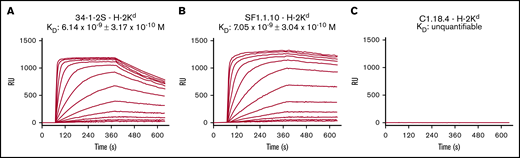 34-1-2S and SF1.1.10 both potently bind to H-2Kd. Binding affinities of IgG2a anti-MHC class I antibodies 34-1-2S (A) and SF1.1.10 (B) toward H-2Kd were determined by using SPR, and C1.18.4 (C) was used as IgG2a isotype control. Panels show binding affinity (KD) with association–dissociation curves (RU) in which antibodies were spotted in twofold dilutions in duplicate, ranging from 60 nM to 7.5 nM. A representative of n = 6 experiments is shown in each figure panel.