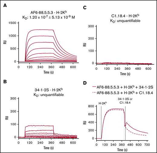 AF6-88.5.5.3 potently binds to H-2Kb, and 34-1-2S cross-reacts to H-2Kb. Binding affinities of IgG2a anti-MHC class I antibodies AF6-88.5.5.3 and 34-1-2S toward H-2Kb were determined by using SPR. C1.18.4 was used as IgG2a isotype control. (A-C) Binding affinity (KD) with association–dissociation curves (RU) is shown in which antibodies were spotted in twofold dilutions in duplicate, ranging from 60 nM to 7.5 nM. (D) Association–dissociation curves (RU) of a setup in which AF6-88.5.5.3 was spotted on the sensor, and H-2Kb was allowed to bind first, followed by infusion of either 34-1-2S or C1.18.4. A representative of n = 6 experiments is shown in each figure panel.