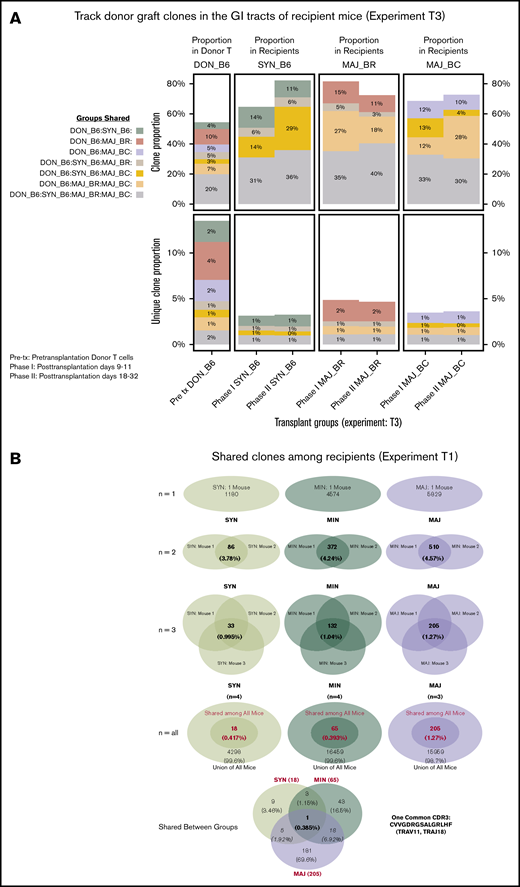 General features of TCRA repertoire reconstitution. (A) Sharing of identifiable TCR clones between the donor graft and pooled TCR clones form the recipient GI tract. Results from 1 representative experiment are shown for total TCR sequences obtained (upper panels) and unique clones (lower panels). T-cell clones from the donor graft were identified as being shared in all, 2, or just 1 recipient group GI tract pooled TCR repertoire at days 9 to 11. A small proportion of the distinct TCR clonal sequences are shared among groups; however, the clones that occur at the most abundant frequency are commonly found across all groups (gray). Distinct donor TCR repertoire can be identified in C57BL6 syngeneic recipients (green), MHC major-mismatched BR10 (red), and BALB/c recipients (purple) or in both major but not syngeneic recipient mice (tan). (B) Sharing of distinct TCR clones among individual recipient mice. A representative transplant experiment is shown (experiment T1; n ≥ 3 mice per group) with degrees of clonal overlap shown by a Venn diagram comparing TCR clones within recipient groups for clones found in any recipient (first row, n = 1), clones found in at least 2 recipients (second row, n = 2), clones found in at least 3 recipients (third row, n = 3), clones found in all recipients within a group (fourth row, n = 3 or 4), and shared clone found across all mice in all transplant recipient groups. The only 1 common clone shared by 3 groups is iNKT CDR3 clone (last row).