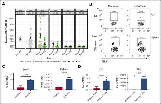 iNKT cell reconstitution in the gut after transplantation. (A) The frequency of the iNKT TRAV11-TRAJ18 gene usage in the donor graft and GI tract of recipients. The percent sequence reads that iNKT account for in the total sequence for each mouse is shown. The middle horizontal bar (in black) indicates the mean values in each group at days 9 to 11 or days 18 to 32 (n > 6 mice per group pooled from 2 experiments; 2-tailed Student t test). (B) Representative dot plots of iNKT staining by flow cytometry for gut and spleen. CD3+TCRab+ T cells (upper panels) and TCRab+CD1d-tetramer+ iNKT cells (lower panels) identified by flow cytometry in single-cell suspension of the spleen and gut of allogeneic BALB/c recipient mice (vs syngeneic C56BL/6; gray bar) days 9 to 11. Quantification of the percent iNKT in the spleen (C) and GI tract (D). Both T and iNKT cells in BALB/c recipients are significantly reduced as a percentage of lymphocytes and in absolute count of mononuclear cells (n > 5 mice per group pooled from 2 experiments; 2-tailed Student t test.).
