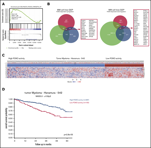 Identification of FOXO-dependent gene signatures in MM cells. Independent LME-1 FOXO1 knockout clones (n = 2), MM1.S FOXO3 knockout clones (n = 2), and XG-3 FOXO3 knockout clones and their respective control clones (n = 2) were treated for 20 hours with 2.5 μM MK2206 AKT inhibitor, or left untreated, and subjected to GEP. (A) GSEA enrichment plot of upregulated FOXO3 target genes (DELPUECH_FOXO3_TARGETS_UP) in WT “cas9 only” (WT) clones treated for 20 hours with 2.5 μM MK2206 (‘WTMK’; left side of the plot) vs MK2206-treated FOXO knockout clones, untreated WT, and FOXO knockout clones (‘REST’; right side of the plot) from the LME-1, MM1.S, and XG-3 HMCLs combined. False discovery rate (FDR), enrichment score (ES), normalized enrichment score (NES), and P value are indicated in the enrichment plot. (B) Area proportional Venn diagrams depicting the number of genes that are upregulated (left panel) or downregulated (right panel) in a FOXO-dependent fashion upon AKT inhibition. Genes that overlap in all 3 HMCLs are listed alongside the Venn diagrams. Differentially expressed genes between the groups were defined based on P values, using the following cutoffs: LME-1, P < .15; MM1.S, P < .01; XG-3, P < .02 (analysis of variance corrected for multiple testing by FDR). (C) k-means clustering results (10 rounds, 2 groups, blue and red boxes) and z score heat maps based on the genes that are downregulated upon AKT inhibition in a FOXO-dependent fashion and overlapped in all 3 HMCLs (Figure 3B) in a patient GEP dataset. This set contains GEP and survival data of 542 patients with MM. Blue depicts downregulated gene expression, and red depicts upregulated gene expression. (D) Kaplan-Meier plot depicting overall survival of patients with MM from the GEP dataset, using k-means clustering–derived groups representing high and low expression of FOXO target genes.