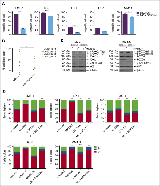 Inhibition of GSK3 partially relieves AKT dependency of MM cells. (A) GSK3 inhibition partially rescued AKT inhibitor–induced cell death in HMCLs (n = 5). Cells were cotreated with 3.2 μM MK2206 and 1 μM GSK3 inhibitor (GSK3 inh.) CHIR99021 for 3 days. Mean ± SEM of 3 independent experiments are shown (**P < .01, ****P < .0001; unpaired Student t test with Welch’s correction). (B) Partial rescue of AKT inhibitor–induced cell death in primary MM patient plasma cells (n = 4). Cells were treated for 3 days with 2.5 μM MK2206 and 1 μM CHIR99021. Specific cell death was calculated based on 7-AAD viability dye staining and flow cytometry. Means of 3 technical replicates are displayed (*P < .05; Wilcoxon signed-rank test). (C) Immunoblot analysis of AKT, FOXO1, FOXO3, phospho-AKT-S473, and phospho-Thr24 FOXO1/phospho-Thr32 FOXO3 in LME-1 cells and MM1.S cells treated overnight with 2.5 μM MK2206, with or without 1 μM CHIR99021. β-actin was used as loading control. (D) Bromodeoxyuridine incorporation cell cycle analysis of HMCLs (n = 5) treated overnight with 2.5 μM MK2206 and 1 μM CHIR99021. Bromodeoxyuridine incorporation and DNA content were assessed by using flow cytometry. Sub-G1 phase (dead) cells were excluded from the analysis. Percentages of cells in the G1, S, and G2 phases of the cell cycle are depicted. Statistical analysis (1-way analysis of variance with Bonferroni’s multiple comparison test) was performed on the percentages of cells in S phase compared with untreated control cultures. Cultures were performed in triplicate (*P < .05, **P < .01).
