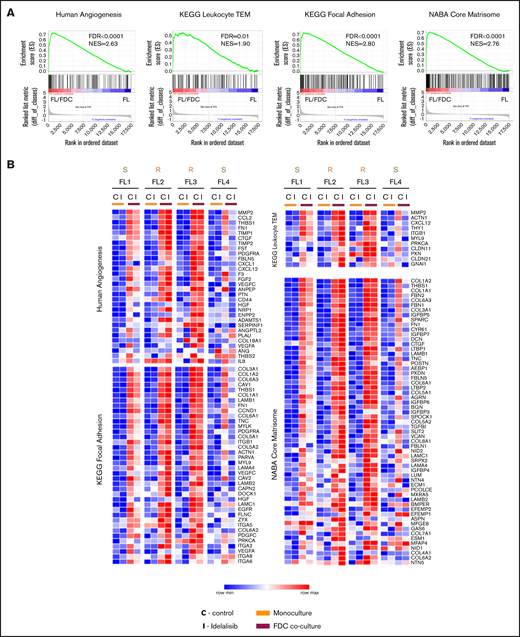 Idelalisib modulates biological pathways in FL-FDC cocultures. FL primary cells were isolated from monocultures or FL-FDC cocultures with/without idelalisib (500 nM, 48 hours) and subjected to GEP. Gene sets regulated by idelalisib were identified by GSEA using custom genes sets, C2 canonical pathways, C3 motifs, Hallmark, and C5-GO signatures. Enrichment plots (A) and heatmaps (B) of the corresponding leading edges of selected gene sets are shown.