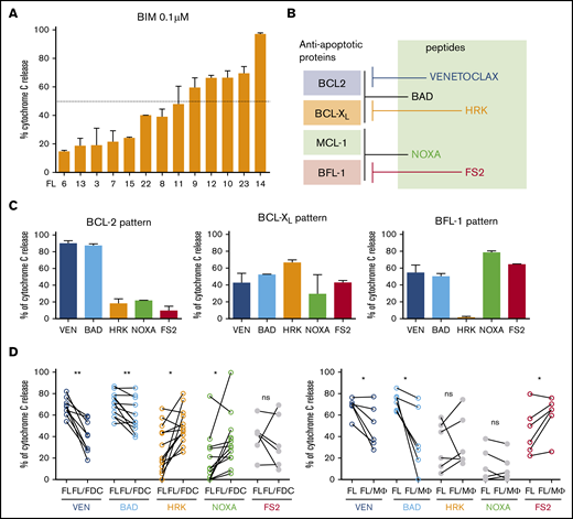 Immune microenvironment modulates FL dependence on BCL-2. (A) Mitochondrial priming with BIM peptide in FL samples. (B) Binding preferences of BH3-only proteins/ peptides with antiapoptoctic BCL-2 proteins. (C) Examples of BH3 profiles from 3 individual FL patients showing patterns of relative dependence on BCL-2 (FL13), BCL-XL (FL12), and MCL1/BFL-1 (FL14). (D) BCL-2 family protein dependence was assessed by BH3 profiling using venetoclax (VEN, n = 9), BAD (n = 13), HRK (n = 13), NOXA (n = 13), and FS2 (n = 6) in FL-FDC and FL-Mϕ cocultures. *P < .05, **P < .01.