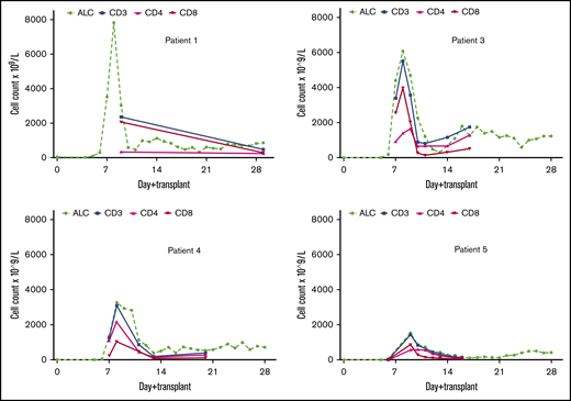 Kinetics of lymphocyte reconstitution in patients 1, 3, 4 and 5. A rapid expansion of T cells was observed very early (between days +7 and +9) after transplantation. It is noteworthy that a very early CD8+ T-cell expansion was observed, in contrast to the significantly delayed CD8+ T-cell reconstitution after typical T cell–replete CBT. ALC, absolute lymphocyte count.