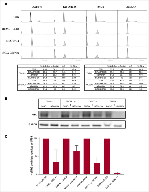 Effect of NEO2734 on cell cycle and MYC protein level in DLBCL cell lines. (A) Representative cell cycle profiles of 2 replicates with the respective quantification; 2 GCB-DLBCL (TOLEDO, DOHH2) and 2 ABC-DLBCL (SU-DHL-2, TMD8) cell lines were treated with DMSO or birabresib (300 nM) or NEO2734 (300 nM) or SGC-CBP30 (10 μM) for 72 hours. (B) Representative immunoblot of 2 replicates. Two GCB-DLBCLs and 2 ABC-DLBCLs were exposed to NEO2734 (250 nM) for 24 hours. (C) Immunoblot quantification.