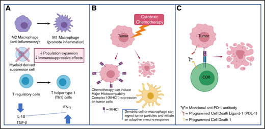 Cytotoxic chemotherapy plus CPB may be synergistic through the following mechanisms. (A) Chemotherapy can reverse the immune-suppressive TME. (B) Chemotherapy can increase tumor antigen presentation and facilitate an immune response. (C) CPB promotes antitumor T-cell responses.