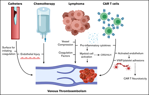 Mechanisms of VTE in patients with lymphoma receiving CAR T-cell therapy. HLH, hemophagocytic lymphohistiocytosis. Created with BioRender.com and adapted from elsewhere.11-13