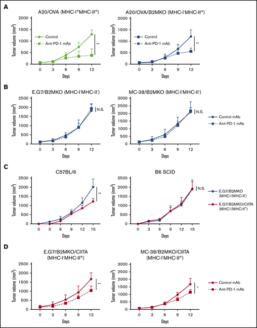 MHC-I−MHC-II+tumors respond to PD-1 blockade. (A) In vivo antitumor efficacy of anti-PD-1 mAb against A20/OVA or A20/OVA/B2MKO tumors. Tumor cells (5.0 × 106) were inoculated subcutaneously. Mice were grouped when the tumors reached ∼100 mm3 (day 0), and anti-PD-1 mAb was administered on days 0, 3, and 6 (n = 6 per group). Tumor growth was monitored every 3 days. (B) In vivo antitumor efficacy of anti-PD-1 mAb against E.G7/B2MKO and MC-38/B2MKO tumors. The in vivo experiments were performed as described in panel A (E.G7, 5.0 × 106, and MC-38, 1.0 × 106). (C) Tumor growth of E.G7/B2MKO and E.G7/B2MKO/CIITA tumors in immunocompetent (C57BL/6) and immunocompromised (B6 SCID) mice. Tumor cells (5.0 × 106) were inoculated subcutaneously into C57BL/6 and B6 SCID mice on day 0 (n = 6 per group). Tumor growth was monitored every 3 days. (D) In vivo antitumor efficacy of anti-PD-1 mAb against E.G7/B2MKO/CIITA and MC-38/B2MKO/CIITA tumors. The in vivo experiments were performed as described in panel A (E.G7, 5.0 × 106, and MC-38, 1.0 × 106). All in vivo experiments were performed twice with similar results. *P < .05; **P < .01.