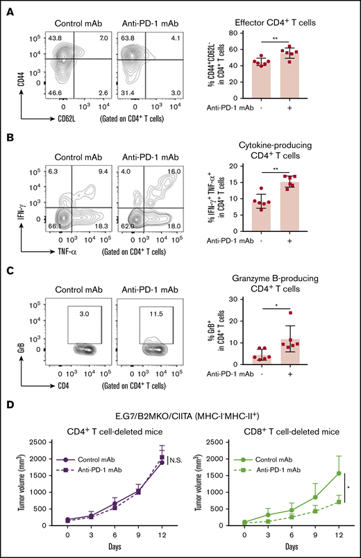 PD-1 blockade exhibits antitumor effects on MHC-I−MHC-II+tumors via cytotoxic CD4+T cells. (A-C) CD44+CD62L− effector/memory CD4+ T cells (A), TNF-α+IFN-γ+CD4+ T cells (B), and GrB+CD4+ T cells (C) in the TIL population of E.G7/B2MKO/CIITA tumors. Tumor cells (5.0 × 106) were inoculated subcutaneously. Mice were grouped when the tumors reached ∼100 mm3 (day 0), and anti-PD-1 mAb was administered on days 0, 3, and 6. TILs were prepared from tumors 14 days after tumor cell inoculation and analyzed with flow cytometry (n = 6 per group). Representative staining (left) and summaries for the frequency of each cell population (right) are shown. (D) In vivo antitumor efficacy of anti-PD-1 mAb against E.G7/B2MKO/CIITA tumors in CD4+ or CD8+ T-cell–deleted mice. For CD4+ or CD8+ T-cell deletion, anti-CD4 mAb or anti-CD8β mAb, respectively, was administered intraperitoneally 1 day before tumor cell injection and every 7 days after tumor cell injection. All in vivo experiments were performed twice with similar results. *P < .05; **P < .01.