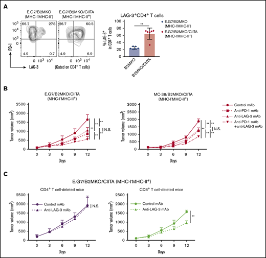 LAG-3 blockade exhibits antitumor effects on MHC-I−MHC-II+tumors mediated by CD4+T cells. (A) LAG-3 expression by tumor-infiltrating CD4+ T cells. Tumor cells (5.0 × 106) were inoculated subcutaneously (n = 6 per group). TILs were prepared from tumors 14 days after tumor cell inoculation and analyzed with flow cytometry. Representative staining (left) and summary of the frequency of LAG-3+CD4+ T cells (right) are shown. (B) In vivo antitumor efficacies of anti-PD-1 mAb, anti-LAG-3 mAb, and a combination against E.G7/B2MKO/CIITA and MC-38/B2MKO/CIITA tumors. Tumor cells (E.G7, 5.0 × 106, or MC-38, 1.0 × 106) were inoculated subcutaneously. Mice were grouped when the tumors reached ∼100 mm3 (day 0), and ICIs were administered on days 0, 3, and 6 (n = 6 per group). Tumor growth was monitored every 3 days. (C) In vivo antitumor efficacy of anti-LAG-3 mAb against E.G7/B2MKO/CIITA tumors in CD4+ T-cell– or CD8+ T-cell–deleted mice. For CD4+ T-cell or CD8+ T-cell deletion, anti-CD4 mAb or anti-CD8β mAb, respectively, was administered intraperitoneally 1 day before tumor cell inoculation and every 7 days after. All in vivo experiments were performed twice with similar results. **P < .01.