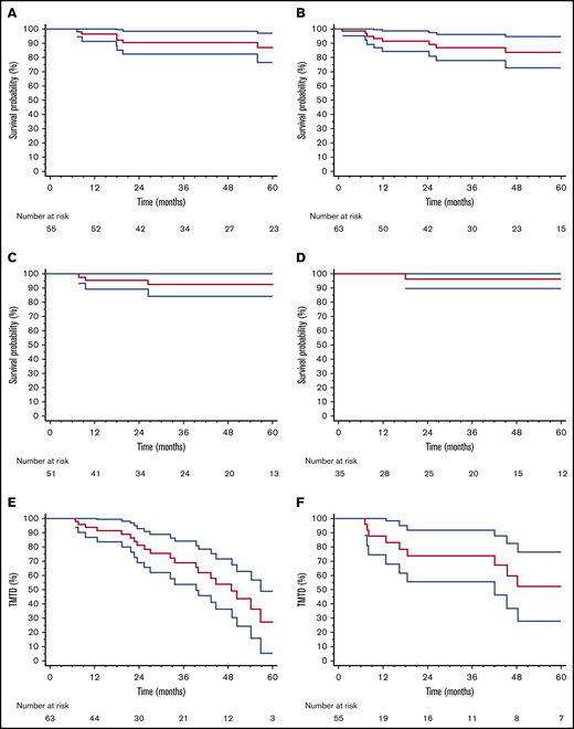 OS and TNTD in patients treated with CyBorD and ASCT and in those who received CyBorD alone. (A) OS in patients treated with CyBorD and ASCT. (B) OS in patients with a satisfactory response to CyBorD. Six-month landmark plotted OS in patients treated with CyBorD (C) or with CyBorD and ASCT (D) who achieved a VGPR or better. Six-month landmark plotted TNTD in patients who received only CyBorD (E) or CyBorD and ASCT (F).