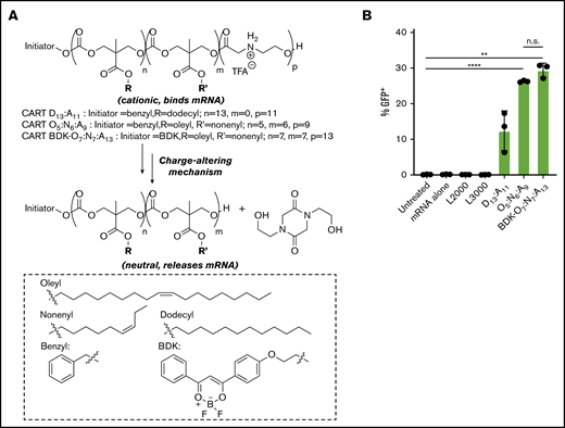 CARTs robustly transfect resting NK cells with mRNA. (A) Charge-altering rearrangement and structures of single-lipid and mixed-lipid CARTs. (B) Percentage of transfection of primary resting human NK cells from 3 donors (500 000 cells per well in 100 μL of serum-free RPMI) using L2000, L3000, CART D13:A11, CART O5:N6:A9, or CART BDK-O7:N7:A13. CART/mRNA polyplexes were formulated at a 10:1 charge ratio (+/−, assuming all ionizable cationic groups are protonated). NK cells were incubated with the complexes for 6 hours before analysis by flow cytometry. Error bars represent ±standard deviation. **P < .01, ****P < .0001. n.s., not significant via paired Student t test at the 2-sided P = .05 level.