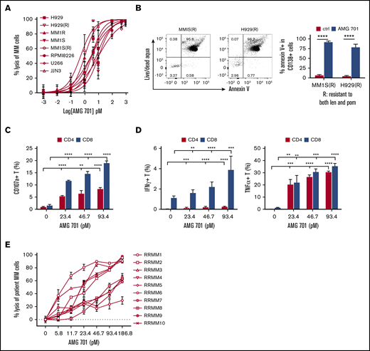 AMG 701 induced potent T-cell–redirected lysis of MM cell lines and autologous MM patient cells from RRMM. (A-B) MM cell lines sensitive and resistant to current MM therapies were incubated with healthy donor T cells (n = 5) at an E:T ratio of 10 to 1 (10:1) in the presence of AMG 701 for 24 hours, followed by quantitative FC analysis to determine percent lysis of CD138+ MM cells (A) and percentage of apoptotic/dead IMiD-resistant MM cells (B). MM1S(R) and H929(R), resistant to both len and pom, are derived from MM1S and H929, respectively.48 Data represent the means (percent lysis) ± standard deviations (SDs) of 3 to 5 independent experiments using T effector cells from healthy donors (n = 5) (A) and patients (n = 3) (B), each performed in triplicate at each dose. Error bars indicate SDs. Also shown in B (left panel) are representative dot plots of the percentage of apoptotic/dead in CD138+ cells from IMiD-resistant MM cell lines. (C-D) AMG 701 was added into mixtures of patient T effector cells (n = 3) and the same cell number of MM1S target cells (E:T=1:1) for 6 hours, followed by FC analysis to determine the percentage of cells expressing surface CD107a (degranulation) (C) and the percentage of Th1 cytokines (D) in CD4 and CD8 T subsets. (E) BMMCs purified from BM aspirates of RRMM patients (n = 10) were directly incubated with AMG 701 for 24 hours in triplicate at each concentration, followed by FC analysis to measure the percent lysis of CD138+ patient MM cells. All data are shown as means ± SDs. **P < .005; ***P < .001; ****P < .0001.