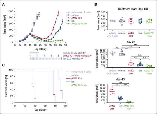 AMG 701 combination treatment with lenalidomide effectively prevented myeloma regrowth in vivo. (A) Head-to-head comparison of AMG 701 and len monotherapy vs combination therapy in the H929 xenograft model in female SCID mice reconstituted with human CD3+ T cells isolated from buffy coats and expanded in vitro. Mice were treated from day 15, when mean tumor volume was 260 mm3 with bolus injections into the peritoneal cavity (vehicle or len) or the lateral tail vein (AMG 701). Control mice reconstituted with or without (w/o) T cells were treated with vehicle once daily from days 15 to 23 (q1dx9). AMG 701 was administered (0.25 mg/kg per administration) once weekly at days 15, 22, 29, 36, and 43; len (0.2 mg/kg per administration) once daily from days 15 to 46 (q1dx32); or both drugs. Eight mice were used in each group, except 5 mice in the vehicle without T-cell group. Values represent mean tumor sizes (mm3) ± SEMs. (B) Symbols indicate individual tumor volumes and lines indicate group mean values ± SDs at days 15, 24, and 43. One-way ANOVA with Tukey multiple comparison test was used for statistics analysis. (C) Using Kaplan-Meier and log-rank analysis, the median overall survival of animals was derived (vehicle, 18 days; vehicle without T cells, 19 days; AMG 701, 38 days; len, 45 days; AMG 701 plus len, >47 days). All 8 mice were alive in the combination therapy group at the end of 47-day follow-up. ***P < .001. n.s., not significant.