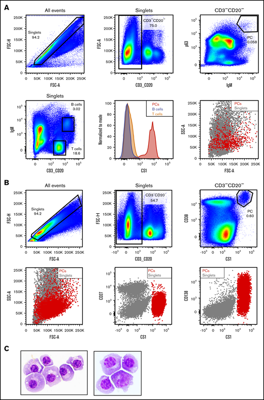 Identification of cynomolgus monkey plasma cell surface phenotype allows cell sorting. (A) Intracellular and cell surface flow cytometry analysis of cynomolgus monkey BM. PCs: CD3−CD20− singlets positive for intracellular p63 and IgM (upper panels). Gating strategy to identify BM T and B lineage cells in cynomolgus monkey BM (lower left panel). Flow cytometry graphs depicting CS1 expression on PCs (red), T cells (orange), and B cells (steel blue) from cynomolgus monkey BM (lower middle panel). Forward and side scatter properties of cynomolgus monkey BM PCs (red) backgated onto the singlets (gray, lower right panel). (B) Cell surface flow cytometry analysis of CS1 and CD38 expression on cynomolgus monkey BM PCs (upper panels). Backgating of PCs (red) onto singlets depicting shape, as well as CD27, CS1, and CD138 expression (lower panels). (C) Wright Giemsa staining of a cytospin preparation of flow-sorted cynomolgus monkey PCs from 2 donors. Images taken at original magnification ×100.