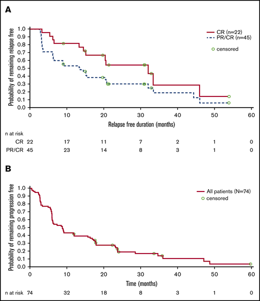 Duration of response and progression-free survival. (A) Kaplan-Meier estimate of DoR. (B) Kaplan-Meier estimate of PFS.