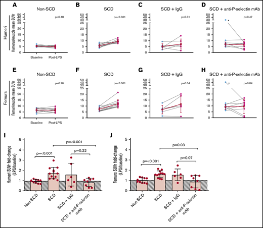 Mean SUVr for humeri and femurs at baseline and post-LPS challenge in non-SCD, SCD, and SCD mice co-treated with LPS and IgG isotype control or anti-P-selectin mAb. (A-D) Mean SUV for humeri divided by mean SUV for muscle for an SUV ratio normalized to background (humeri SUVr) at baseline and post-LPS for non-SCD (A), SCD (B), SCD + IgG isotype control (C), and SCD + anti-P-selectin mAb (D). *Denotes outlier identified by robust regression and outlier removal (ROUT, Q = 1%). (E-H) Mean SUV for femurs divided by mean SUV for muscle for an SUV ratio normalized to background (femurs SUVr) at baseline and post-LPS for non-SCD (E), SCD (F), SCD + IgG isotype control (G), and SCD + anti-P-selectin mAb (H) mice. *Denotes outlier identified by ROUT, Q = 1%. (A-H) Baseline and post-LPS means are shown as a red hollow circle with standard deviation (SD) error bars. Baseline and post-LPS groups were compared by using a paired 2-tailed Student t test. P < .05 was considered statistically significant. (I-J) SUVr fold-change from baseline to post-LPS (post-LPS/baseline) for humeri and femurs, respectively. The solid line depicts the mean of the non-SCD fold-change (no change, ∼1) and is shaded below the threshold. The data were compared using 1-way analysis of variance (ANOVA) with multiple comparisons by controlling false discovery rate (FDR) by a 2-stage linear step-up procedure from Benjamini, Krieger, and Yekutieli. FDR-corrected P < .05 was considered statistically significant. ANOVA for humeri and femurs were corrected for unequal variance. (I) Non-depicted P values for femurs fold-change: non-SCD vs SCD + IgG (P = .22), non-SCD vs SCD + anti-P-selectin mAb (P = .43), and SCD vs SCD + IgG (P = .53). (J) Non-depicted P values for femurs fold-change: non-SCD vs SCD + IgG (P = .07), non-SCD vs SCD + anti-P-selectin mAb (P = .52), and SCD vs SCD + IgG (P = .59).