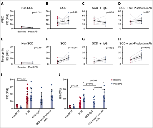 WBC and neutrophil counts for the non-SCD (control), SCD, and SCD mice treated with either IgG isotype control or anti-P-selectin mAb. (A-D) WBC counts (× 109/L) at baseline and post-LPS challenge for non-SCD (A), SCD (B), SCD + IgG isotype control (C), and SCD + anti-P-selectin mAb (D). (E-H) Neutrophil (NEU) counts (× 109/L) at baseline and post-LPS for non-SCD (E), SCD (F), SCD + IgG isotype control (G), and SCD + anti-P-selectin mAb (H). (A-H) Baseline and post-LPS means are shown as a black hollow circle with SD error bars. Baseline and post-LPS groups were compared using a paired 2-tailed Student t test. P < .05 was considered statistically significant. (I) Baseline and post-LPS WBC (× 109/L) measurements for all conditions. Non-depicted P values: post-LPS non-SCD was significantly different from post-LPS SCD (P ≤ .001), SCD + IgG (P = .002), and SCD + anti-P-selectin mAb (P ≤ .001). (J) Baseline and post-LPS neutrophil (× 109/L) measurements for all conditions. Non-depicted P values: post-LPS non-SCD was significantly different from post-LPS SCD (P ≤ .001), SCD + IgG (P = .002), and SCD + anti-P-selectin mAb (P ≤ .001). (I-J) Bars represent mean ± SD. Baseline analysis between SCD and non-SCD used a 2-tailed Student t test. One-way ANOVA with multiple comparisons by controlling FDR by a 2-stage linear step-up procedure of Benjamini, Krieger, and Yekutieli was used for the post-LPS analysis. FDR-corrected P < .05 was considered statistically significant.