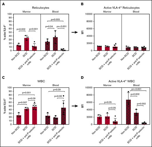 Flow cytometry of isolated bone marrow and blood cells labeled with Cy3-LLP2A post-LPS challenge. (A-B) Reticulocyte-gated measurements. (A) Percent of reticulocytes that express active VLA-4 in the bone marrow and blood. (B) The MFI of Cy3-LLP2A-bound VLA-4 on VLA-4+ reticulocytes. (C-D) WBC-gated measurements. (C) Percent of WBCs that express active VLA-4 in the bone marrow and blood. (D) The MFI of Cy3-LLP2A-bound VLA-4 on VLA-4+ reticulocytes. (A-D) Bars represent mean ± SD. Data were analyzed by 1-way ANOVA with multiple comparisons by controlling FDR by a 2-stage linear step-up procedure of Benjamini, Krieger, and Yekutieli. FDR-corrected P < .05 was considered statistically significant.