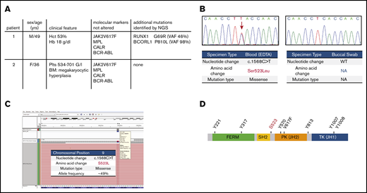 Detection of the JAK2S523L mutation in 2 patients. (A) Clinical features and cooccurring molecular alterations detected by Sanger and next-generation sequencing (NGS). (B) Conventional Sanger sequencing in peripheral blood and buccal swabs reveals a somatic point mutation at c.1568, which causes an amino acid change from TCA to TTA. (C) Detection of the JAK2S523L mutation by NGS of 54 myeloid neoplasm–associated genes using a targeted panel (TruSight Myeloid Sequencing Panel; Illumina). (D) Schematic illustration of JAK2 structure and the localization of the JAK2S523L mutation. BM, bone marrow; Hb, hemoglobin; Hct, hematocrit; NA, not applicable; plts, platelets; VAF, variant allele frequency.