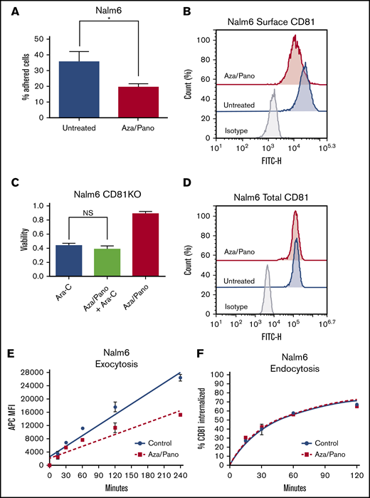 Aza/pano disrupts ALL cell adhesion by downregulating CD81 surface expression via a decreased rate of exocytosis. (A) Bar graph showing the percentage of bound untreated Nalm6 cells and aza/pano-treated cells. Error bars denote standard deviation from the Mean of values generated from 3 independent experiments. (B) Flow cytometry plot overlays showing the surface expression of CD81 in untreated Nalm6 cells or cells treated with aza (500 nM)/pano (1.5 nM) for 48 hours. Isotype control antibody plots are included for reference. Representative plots from 3 independent experiments are shown. (C) CD81KO Nalm6 cells were pretreated with aza/pano for 48 hours before transfer onto Saos-2 monolayers and treatment with Ara-C. Viability of ALL cells was determined using flow cytometry. Error bars denote standard deviation from the mean. NS stands for nonsignificant P > .05. (D) Flow cytometry plot overlays showing the total expression of CD81 in untreated or aza/pano-treated Nalm6 cells. Isotype control antibody plots are included for reference. Representative plots from 3 independent experiments are shown. (E) Nalm6 cells treated with aza/pano for 24 hours were blocked with unconjugated CD81 antibody. Newly appearing CD81 protein at the cell surface was captured at indicated time intervals using an APC-conjugated CD81 antibody by flow cytometry. The rate of CD81 exocytosis was calculated based on the best fit line (control rate: 106.3 MFI/min; aza/pano rate: 60.23 MFI/min). Error bars denote standard deviation from the mean of 2 independent experiments. (F) Nalm6 cells treated with aza/pano for 24 hours were incubated with unconjugated CD81 antibody. Cy5-tagged anti-mouse secondary antibody staining was performed to determine the percentage of CD81 protein internalized at a given time point. Time to 50% internalization was calculated based on the nonlinear regression curve (control, 46.1 minutes; aza/pano, 44.4 minutes). Error bars denote standard deviation from the mean calculated from 2 independent experiments.