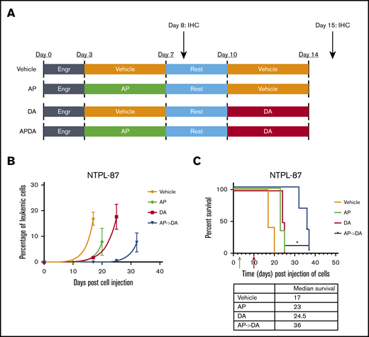 Aza/pano treatment potentiates subsequent chemotherapy in ALL PDX mouse model. (A) NSG-B2M mice (n = 5 per cohort) transplanted with 1.0 × 106 NTPL-87 cells were treated as depicted. (B) Peripheral blood was monitored for the presence of human CD10+ cells to determine change in leukemic percentage over time. (C) Kaplan-Meier survival curves show mice pretreated with AP before DA live significantly longer than mice treated with DA alone (*P < .05). Green and red arrows indicate time when aza/pano or DA treatment began, respectively.