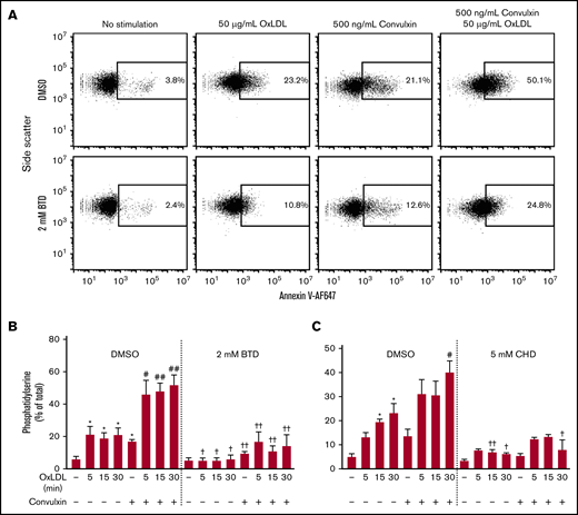 Carbon nucleophiles BTD and CHD inhibit oxLDL/CD36–induced PSer externalization. (A) Dot plots of annexin V binding by DMSO or 2 mM BTD treatment in oxLDL stimulation alone or oxLDL pretreatment with CVX stimulation. (B-C) Percent positive annexin V binding in the time course stimulation with oxLDL alone or oxLDL with CVX in BTD- (B) and CHD-treated (C) samples. Washed human platelets (30 ×103/µL) were pretreated with 2 mM BTD or 5 mM CHD for 15 minutes at 37°C. After the addition of 1 mM CaCl2/MgCl2, platelets were stimulated with 50 µg/mL oxLDL for up to 30 minutes. In some conditions, platelets were subjected to 5 minutes of costimulation with 500 ng/mL CVX following the time course treatment with oxLDL. P values were determined by 1-way analysis of variance with 2-stage Benjamin, Krieger, and Yekutieli post hoc analysis. *P < .05 compared with DMSO, no stimulation (no oxLDL, no CVX); #P < .05 compared with DMSO, CVX alone (no oxLDL); ##P < .01 compared with DMSO, CVX alone (no oxLDL); †P < .05 compared with their respective DMSO control; and ††P < .01 compared with their respective DMSO control. N = 6 separate donors for the BTD treatments. N = 3 separate donors for the CHD treatments. Data are expressed as mean ± SEM.
