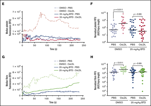 BTD carbon nucleophile decreases arterial thrombosis in dyslipidemia. BTD inhibits the prothrombotic platelet phenotype in “Western” high-fat diet-fed mice to chow-fed control levels using the FeCl3-induced carotid artery thrombosis model. (A) Intravital microscopy video images of the carotid artery from mice fed chow or a high-fat diet treated with vehicle control or 25 mg/kg BTD. (B-C) Histograms of time to occlusion (B), and Kaplan-Meier curves of the fraction of vessels not occluded (C) are shown (P = .01 between Chow Diet + DMSO vs High Fat Diet + DMSO; P = .46 between Chow Diet + DMSO vs High Fat Diet + 25 mg/kg BTD). BTD rescued the enhanced platelet and fibrin accumulation induced by oxLDL in the laser ablation cremasteric artery thrombosis model (C). (D) Intravital microscopy images of the cremasteric artery from intravenously injected PBS or 2.5 mg/kg oxLDL-injected mice treated with vehicle or 25 mg/kg BTD. Platelets are red and fibrin is green. (E,G) Median integrated fluorescence intensity over time of platelets (E) and fibrin (G) are shown. (F,H) Quantification of the normalized platelet (F) and fibrin (H) accumulation as area under the curve (AUC) by the length of the injury are presented. In both thrombosis models, DMSO (as the vehicle treatment) and BTD were prepared in 20% v/v cremophore in PBS and were injected intraperitoneally 3 hours before injury. P values were determined by unpaired Student t test (B), log-rank (Mantel-Cox) Kaplan-Meier tests (C), and 1-way analysis of variance with Kruskal-Wallis pairwise comparisons (F,H). For the FeCl3 thrombosis model, N = 6 mice for vehicle control treatment in conditions of a chow diet. N = 3 mice for vehicle control treatment, 3 mice for 25 mg/kg BTD treatment, 5 mice for 50 mg/kg BTD treatment, and 4 mice for 100 mg/kg BTD treatment in conditions of a high-fat diet. For the laser ablation thrombosis model, N = 3 mice for DMSO and 3 mice for BTD treatment and ≥22 injuries per PBS or oxLDL cohort of thrombosis. Data are expressed as mean ± SD.
