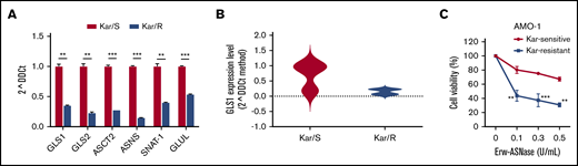 Kar resistance elicits an unforeseen metabolic vulnerability in MM cells. (A) qPCR analysis of the indicated genes in AMO-1 cells was performed by comparing isogenic wild-type (Kar/S) and Kar-resistant (Kar/R) cells. (B) Violin plot representing GLS1 expression level in tumor cells derived from NDMM (Kar/S) and RRMM (Kar/R) patients. (C) Dose-response curves of AMO-1 Kar/S and Kar/R cells to increasing doses of Erw-ASNase (0.1-0.5 U/mL for 48 hours). All data are mean ± SD of 3 independent experiments. **P < .01, ***P < .001, Student t test.