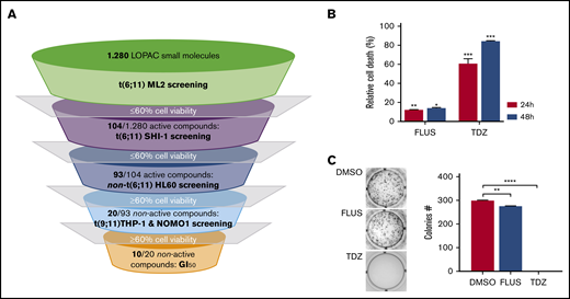 Drug screening pipeline and selected compounds. (A) The pipeline used to select compounds for t(6;11) cell lines: 1280 compounds were tested in ML-2 cells; 104 active drugs were tested in SHI-1; 93 active drugs were screened in the t(5;17) cell line HL60; and 20 nonactive drugs were tested in the t(9;11) cell lines THP-1 and NOMO-1. The 10 resulting compounds were considered selective for t(6;11)AML. Drug treatment was performed in triplicate, and compounds were considered active when cell viability was reduced to at least 60%. (B) Cell death (annexin V+, PI+, and annexin V+/PI+) induced by FLUS and TDZ in SHI-1 cells 24 and 48 hours after treatment (n = 3), relative to the DMSO value. (C) Colony-forming assay performed on viable SHI-1 cells seeded 24 hours after FLUS or TDZ treatment (n = 3). Data are the mean ± SEM. *P < .05; **P < .01; ***P < .001; ****P < .0001.