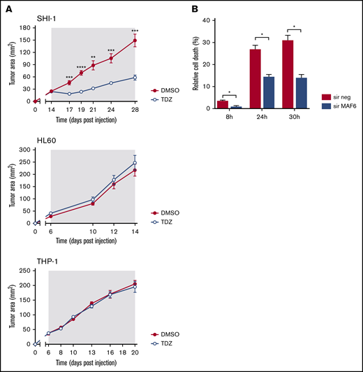 TDZ antagonizes MLL-AF6–mediated leukemia progression. (A) Tumor growth in mice that received flank injections of SHI-1, HL60, or THP1 cells and were treated daily with TDZ at 8 mg/kg, compared with the control group treated with DMSO (n = 6). The gray area indicates the treatment interval. (B) Cell death (annexin V+, PI+, and annexin V+/PI+) of SHI-1–injected mice treated with TDZ 16 hours after MLL-AF6 chimera silencing (sir), evaluated 8, 24, and 30 hours after treatment, compared with DMSO (n = 2). Data are the mean ± SEM. *P < .05; **P < .01; ***P < .001; ****P < .0001.