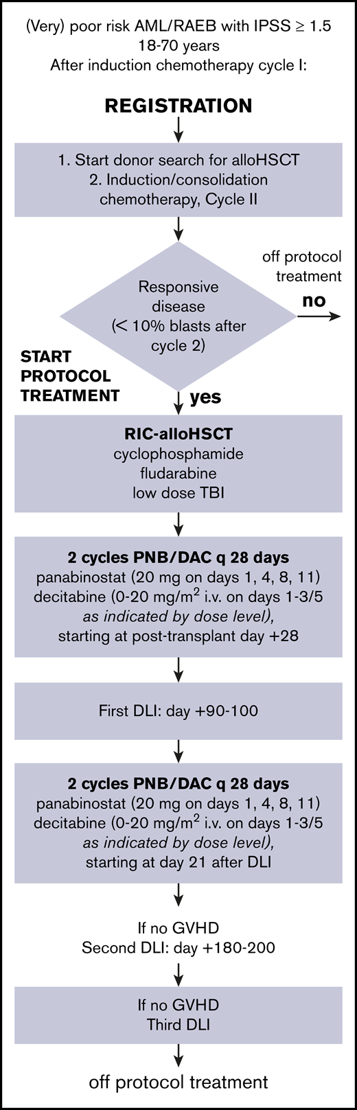 Scheme of HOVON 116 study from registration to cessation of protocol treatment. DAC, decitabine; IPSS, International Prognostic Scoring System; PNB, panobinostat; RAEB, refractory anemia with excess blasts; RIC, reduced-intensity conditioning.