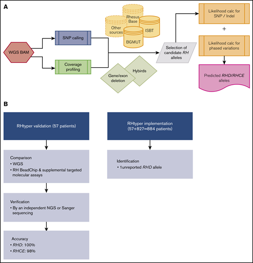 RHtyper development, validation, and implementation. (A) Overview of the RHtyper algorithm. (B) Validation (n = 57 patients) and implementation (n = 884 patients) of the RHtyper. BAM, binary alignment map.