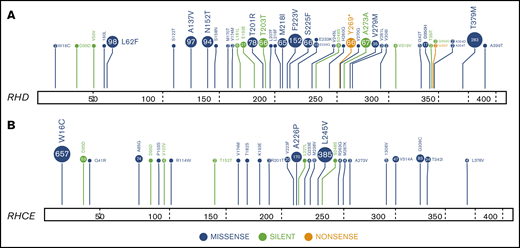 Landscape of RH gene SNPs and indels in 884 patients with SCD. RHtyper identified 41 different RHD (A) and 28 different RHCE (B) SNPs and indels.