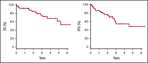 Kaplan-Meier estimates. Two-year OS was 84.7%, and PFS was 73.8% in the 64 patients with primary HHV8-negative EBL.