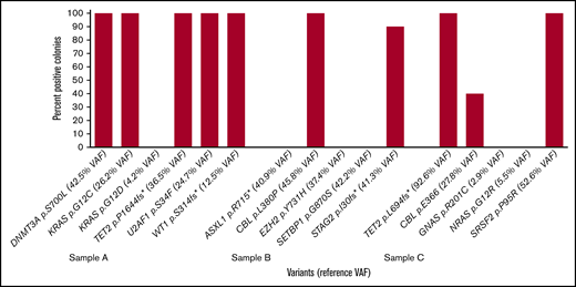 Percentage of colonies positive for variant in methylcellulose colony-forming assays on 3 samples with reference variants determined from a concurrent RHP on a separate specimen. PB methylcellulose colony-forming assays were performed on 3 samples with reference variants determined from a concurrent peripheral blood specimen (sample A) or concurrent or recent BM sample (samples B and C). Six colonies were obtained for sample A, and 10 colonies were obtained for samples B and C after 9 days in culture.