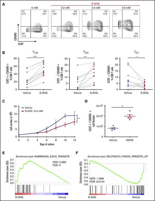 S-2HG treatment increases the CCR7+/CD45RO+(TCM) population in naive CD8 T cells. (A) Flow cytometry plots of CD8 T cells showing surface expression of CCR7 and CD45RO following activation of naive CD8 T cells cultured with IL-2 (30 U/mL). Cells were treated with vehicle (H2O) or increasing concentrations of S-2HG from days 0 to 12 and analyzed at day 12 by flow cytometry. Representative plots of n = 5 is shown. (B) Naive CD8 T cells were isolated from 12 individual donors over 6 independent experiments. The isolated T cells were activated and treated with vehicle (H2O) or S-2HG (0.4 mM) from days 0 to 12 and analyzed at day 12 by flow cytometry. The proportion of CD8 TCM (CCR7+/CD45RO+), CD8 TEM (CCR7−/CD45RO+), and CD8 TEF (CCR7−/CD45RO−) cells is shown. Paired 2-tailed Student t test was used. (C) Total cell number following activation of naive CD8 T cells isolated from 5 individual donors over 3 independent experiments. Cells were activated and treated with vehicle (H2O) or S-2HG (0.4 mM) from days 0 to 12. Cell number was quantified on the specified dates using the ADAM-MC automated cell counter (NanoEnTek). Graph shows mean ± SEM and a 2-way ANOVA was used, variance shown is treatment over time. (D) Naive CD8 T cells were isolated from 5 individual donors over 2 independent experiments. T cells were activated and treated with vehicle (H2O) or S-2HG (0.4 mM) from days 0 to 12 and analyzed at day 12 by flow cytometry. The total cell number of CD8 TCM (CCR7+/CD45RO+) cells was quantified by flow cytometry (mean ± SEM). Paired 2-tailed Student t test was used. (E-F) Naive CD8 T cells were isolated from 3 individual donors over 2 independent experiments, activated and treated with vehicle (H2O) or S-2HG (0.4 mM) from days 0 to 12. The cells were collected on day 12 and RNA-Seq analysis followed. GSEA of Kamminga_EZH2_target (E) and Delpuech_ FOXO3_targets_up (F) in S-2HG–treated vs vehicle-treated CD8 T cells. Net enrichment score (NES) values and FDR are shown. For all panels: *P ≤ .05; **P ≤ .01; ***P ≤ .001; ****P ≤ .0001.