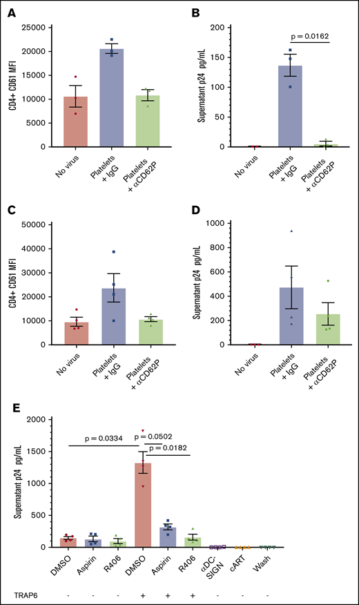 Platelet-bound HIV infects CD4+T cells through platelet–T-cell complex formation. CD4+ T cells were isolated from HIV− donors and differentiated using anti-CD3/CD28 beads and IL-2. Platelets from viremic cART-naive donors were treated with anti-CD62P or IgG control antibody and then cocultured with differentiated T cells. Flow cytometry was performed by staining for CD4 and CD61. (A) Platelet–T-cell complexes were then detected by flow cytometry using antibody specific for CD4 and CD61. Mean fluorescence intensity (MFI) of CD61 was used on CD4 gated cells as a measure of platelet–T-cell complex formation at 24 hours. Correlations were calculated using a Pearson correlation. (B) HIV-1 p24 was quantified by enzyme-linked immunosorbent assay (ELISA) in cell-free culture supernatants 72 hours after coculture (n = 3). Significance was determined using a paired Student t test. (C) Platelets from HIV− donors were incubated with HIV-1 IIIB and then treated with anti-CD62P or IgG antibodies, as above, prior to coculture with differentiated CD4+ T cells. CD4+ CD61 MFI was used to measure platelet–T-cell complex formation. (D) HIV-1 p24 was quantified by ELISA in cell-free supernatant at 72 hours postcoculture (n = 4). (E) Platelets from HIV− donors were treated with aspirin, R406, anti–DC-SIGN antibodies, or DMSO control prior to treatment with TRAP6 or vehicle control and subsequent incubation with HIV-1 IIIB prior to coculture with differentiated CD4+ T cells. Cocultures were treated with cART or supernatant from the third platelet wash as negative controls. HIV p24 was quantified by ELISA in cell-free supernatant at 72 hours after coculture (n = 4).