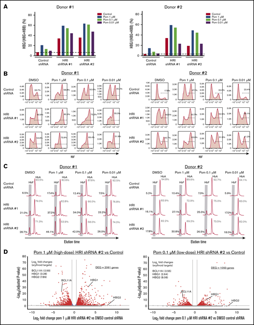 HRI loss sensitizes cells to low doses of pomalidomide. (A) γ-Globin levels (expressed as γ-globin/γ-globin+β-globin) in healthy CD34+ donors as measured by qRT-PCR after shRNA scrambled control or HRI depletion with 2 independent shRNAs combined with either vehicle control or treatment with 1, 0.1, or 0.01 μM of pomalidomide (Pom). (B) Representative HbF flow cytometric plots. Percentage of F-cells quantified for each sample. (C) Representative HPLC tracings of HbF and HbA (quantified as the percentage of total HbF+HbA peaks). (D) RNA-Seq combinatorial analysis of DMSO-treated control shRNA samples vs pomalidomide-treated HRI shRNA #2 samples at 1 μM (high dose) or 0.1 μM (low-dose) pomalidomide plotted as log2-fold change vs −log10-adjusted P value. Red, absolute fold change >1.5 and adjusted P < .05; blue, absolute fold change ≤1.5 and adjusted P < .05; gray, not significant. Two independent biological replicates for all experiments. DMSO served as the pharmacologic vehicle control. Error bars represent standard deviation. DEG, differentially expressed gene.