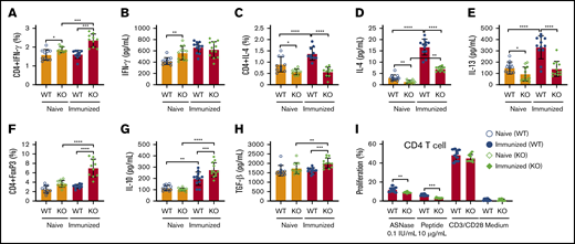 NFATC2 deficiency attenuates Th2 responses, decreases ASNase-specific CD4+T-cell proliferation, and increases regulatory T cells after ASNase immunization. (A-H) Naïve NFATC2 KO mice have more CD4+ INF-γ+ T cells (A) and higher plasma INF-γ levels (B) than WT mice. Naïve and immunized KO mice have fewer CD4+IL-4+ T cells (C) and less plasma IL-4 and IL-13 (D-E) compared with WT controls. After ASNase immunization, KO mice develop more CD4+ Tregs (F) and have higher plasma IL-10 (G) and TGF-β1 levels (H) than WT controls. (I) Immunized KO mice have decreased splenic CD4+ T-cell proliferation in response to ASNase or an ASNase T-cell epitope relative to immunized WT control mice. *P < .05; **P < .01; ***P < .001; ****P < .0001.