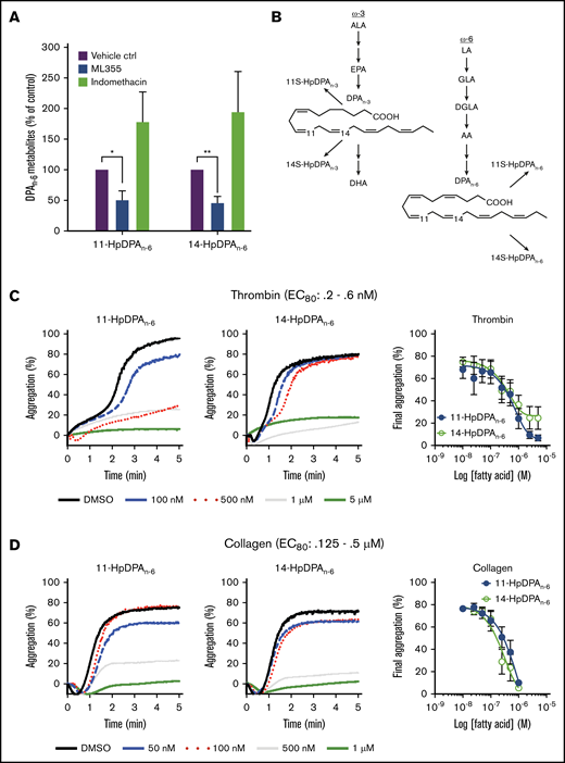 12-LOX-derived DPAn-6and oxylipins 11-HpDPAn-6and 14-HpDPAn-6inhibit platelet activation. (A) Oxylipins derived from platelets (n = 4) were assessed by incubating human platelets with 10 μM DPA in the presence of vehicle control (ctrl), 12-LOX inhibitor (ML355), or COX-1 inhibitor (indomethacin) prior to mass spectrometry. (B) The major metabolites produced from DPAn-6 in platelets are 12-LOX–derived oxylipins, 11-HpDPAn-6, and 14-HpDPAn-6. The effects of 11-HpDPAn-6 and 14-HpDPAn-6 on platelet activity were assessed by incubating human platelets with increasing concentrations of DPAn-6 metabolites for 5 minutes prior to stimulation with thrombin (n = 10) (C) or collagen (n = 10) (D). (E) Calcium mobilization induced by the glycoprotein VI agonist convulxin was assessed in the absence or presence of DPAn-6 (left panel), 11-HpDPAn-6 (middle panel), or 14-HpDPAn-6 (right panel) (n = 5). (F) PKC activity was assessed in the absence or presence of DPAn-6 (2.5 μΜ), 11-HpDPAn-6, (2.5 μΜ), or 14-HpDPAn-6 (2.5 μΜ) prior to stimulation with 0.2 nM thrombin (n = 4) or 10 ng/mL convulxin (n = 4). (G) Platelet ATP secretion was measured in the absence or presence of DPAn-6 (1 μM), 11-HpDPAn-6 (1 μM), or 14-HpDPAn-6 (1 μM) prior to stimulation with 0.5 nM thrombin (left panel; n = 6) or 2 μg/mL collagen (right panel; n = 4). (H) α-Granule secretion was assessed in the absence or presence of DPAn-6 (1 μM), 11-HpDPAn-6 (1 μM), or 14-HpDPAn-6 (1 μM) prior to stimulation with thrombin 0.5 nM (n = 5). Data are means ± standard deviation (SD) for PKC activation means ± SEM for others. *P < .05, **P < .01, ***P < .001, ****P < .0001, 1- or 2-way ANOVA. DMSO, dimethyl sulfoxide.
