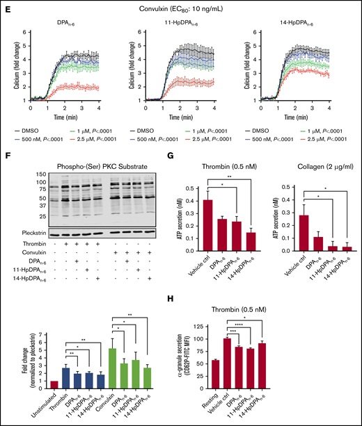 12-LOX-derived DPAn-6and oxylipins 11-HpDPAn-6and 14-HpDPAn-6inhibit platelet activation. (A) Oxylipins derived from platelets (n = 4) were assessed by incubating human platelets with 10 μM DPA in the presence of vehicle control (ctrl), 12-LOX inhibitor (ML355), or COX-1 inhibitor (indomethacin) prior to mass spectrometry. (B) The major metabolites produced from DPAn-6 in platelets are 12-LOX–derived oxylipins, 11-HpDPAn-6, and 14-HpDPAn-6. The effects of 11-HpDPAn-6 and 14-HpDPAn-6 on platelet activity were assessed by incubating human platelets with increasing concentrations of DPAn-6 metabolites for 5 minutes prior to stimulation with thrombin (n = 10) (C) or collagen (n = 10) (D). (E) Calcium mobilization induced by the glycoprotein VI agonist convulxin was assessed in the absence or presence of DPAn-6 (left panel), 11-HpDPAn-6 (middle panel), or 14-HpDPAn-6 (right panel) (n = 5). (F) PKC activity was assessed in the absence or presence of DPAn-6 (2.5 μΜ), 11-HpDPAn-6, (2.5 μΜ), or 14-HpDPAn-6 (2.5 μΜ) prior to stimulation with 0.2 nM thrombin (n = 4) or 10 ng/mL convulxin (n = 4). (G) Platelet ATP secretion was measured in the absence or presence of DPAn-6 (1 μM), 11-HpDPAn-6 (1 μM), or 14-HpDPAn-6 (1 μM) prior to stimulation with 0.5 nM thrombin (left panel; n = 6) or 2 μg/mL collagen (right panel; n = 4). (H) α-Granule secretion was assessed in the absence or presence of DPAn-6 (1 μM), 11-HpDPAn-6 (1 μM), or 14-HpDPAn-6 (1 μM) prior to stimulation with thrombin 0.5 nM (n = 5). Data are means ± standard deviation (SD) for PKC activation means ± SEM for others. *P < .05, **P < .01, ***P < .001, ****P < .0001, 1- or 2-way ANOVA. DMSO, dimethyl sulfoxide.