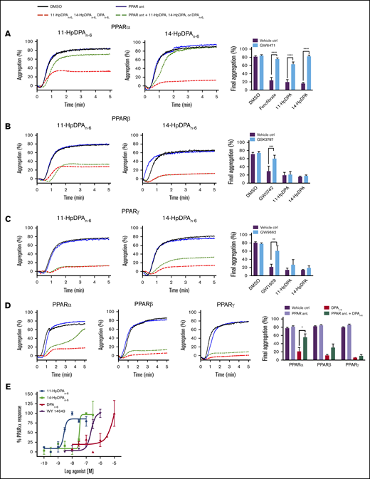 12-LOX–derived DPAn-6oxylipins, 11-HpDPAn-6and 14-HpDPAn-6, modulate platelet activation through PPAR. Washed human platelets were treated with 10 μM GW6471 (PPARα antagonist) (n = 4) (A), 10 μM GSK3787 (PPARβ antagonist) (n = 4) (B), or 5 μM GW9962 (PPARγ antagonist) (n = 4) (C) for 5 minutes prior to 0.5 to 1 μM incubation with 11-HpDPAn-6 or 14-HpDPAn-6 and platelet aggregation stimulation with EC80 collagen. (D) Similarly, platelets were treated with 1 to 2.5 μM DPAn-6 in the presence of PPAR antagonists prior to collagen-induced aggregation (n = 4). Representative aggregation tracings for 11-HpDPAn-6, 14-HpDPAn-6, and DPAn-6 are shown on the left. (E) A cell-based PPAR transactivation reporter assay was performed in HEK293T cells that had been dose dependently treated with DPAn-6, 11-HpDPAn-6, 14-HpDPAn-6, or PPARα agonist WY 14643 for 8 hours prior to PPARα luciferase assay. Data are means ± SEM. *P < 0.05, **P < 0.01, ***P < .001, ****P < .0001, 1-way statistical tests.
