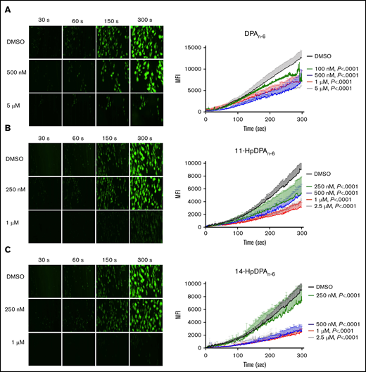 12-LOX–derived DPAn-6oxylipins, 11-HpDPAn-6and 14-HpDPAn-6, inhibit human platelet accumulation on a collagen-coated surface under arterial shear flow conditions. Whole blood collected in a sodium-citrate vacutainer tube was incubated with dimethyl sulfoxide (DMSO) or 100 nM to 5 μM DPAn-6 (n = 6) or 250 nM to 2.5 μM DPAn-6 (n = 5) (A), 11-HpDPAn-6 (n = 5) (B), or 14-HpDPAn-6 (n = 5) (C) for 5 minutes at 37°C prior to perfusion over a collagen-coated surface at arterial shear rate (1800/s) for 5 minutes (original magnification, ×20). Representative figures for each condition are shown to the left of each composite graph. Data are mean ± SEM. Statistical significance calculated using 2-way ANOVA. MFI, mean fluorescence intensity.