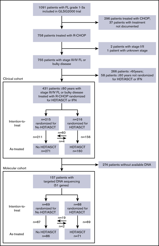 CONSORT diagram of the study cohorts.