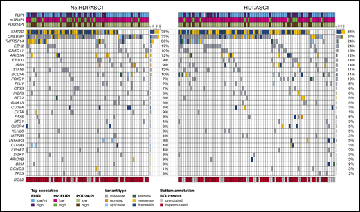 Targeted mutational landscape of the molecular study cohort. The Oncoprint shows recurrently mutated genes as rows and the 157 patients of the molecular study cohort as columns by randomization status. The color coding delineates the type of nonsynonymous alteration detected by targeted next-generation sequencing of 51 genes. The top annotation indicates FLIPI, m7-FLIPI, and POD24-PI risk groups. For BCL2 (bottom annotation), all variants including silent and noncoding variants were reported as hypermutations. The number of cases with respective gene mutations and corresponding mutation frequencies by cohort are visualized on the right side of the Oncoprints.
