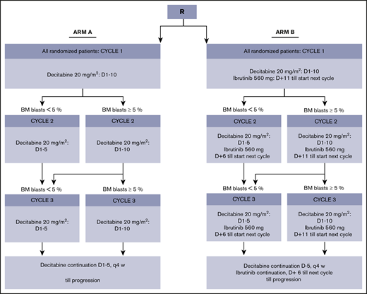 Study scheme. BM, bone marrow; D, day.